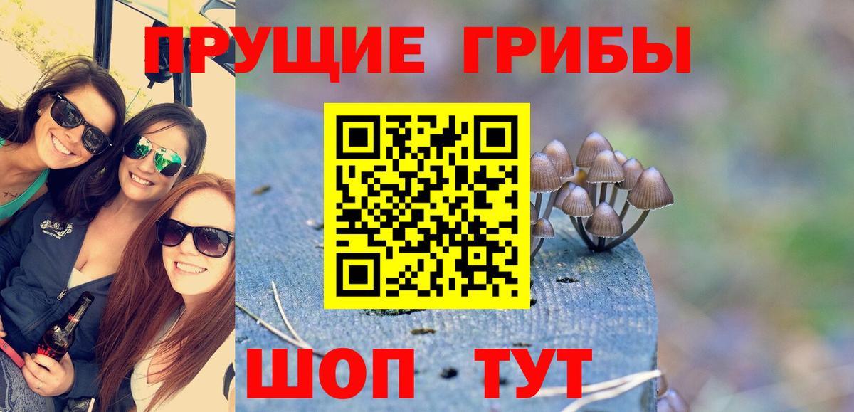 Псилоцибиновые грибы мицелий Шелехов